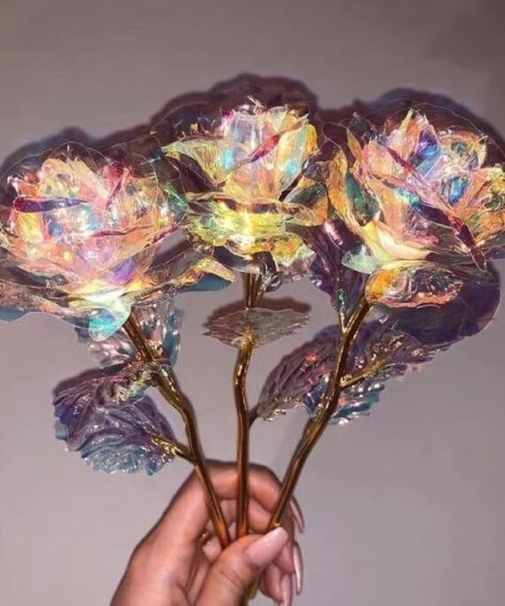Galaxy rose (6 stk)